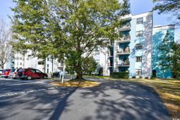 5001 Little River Rd. photo 4