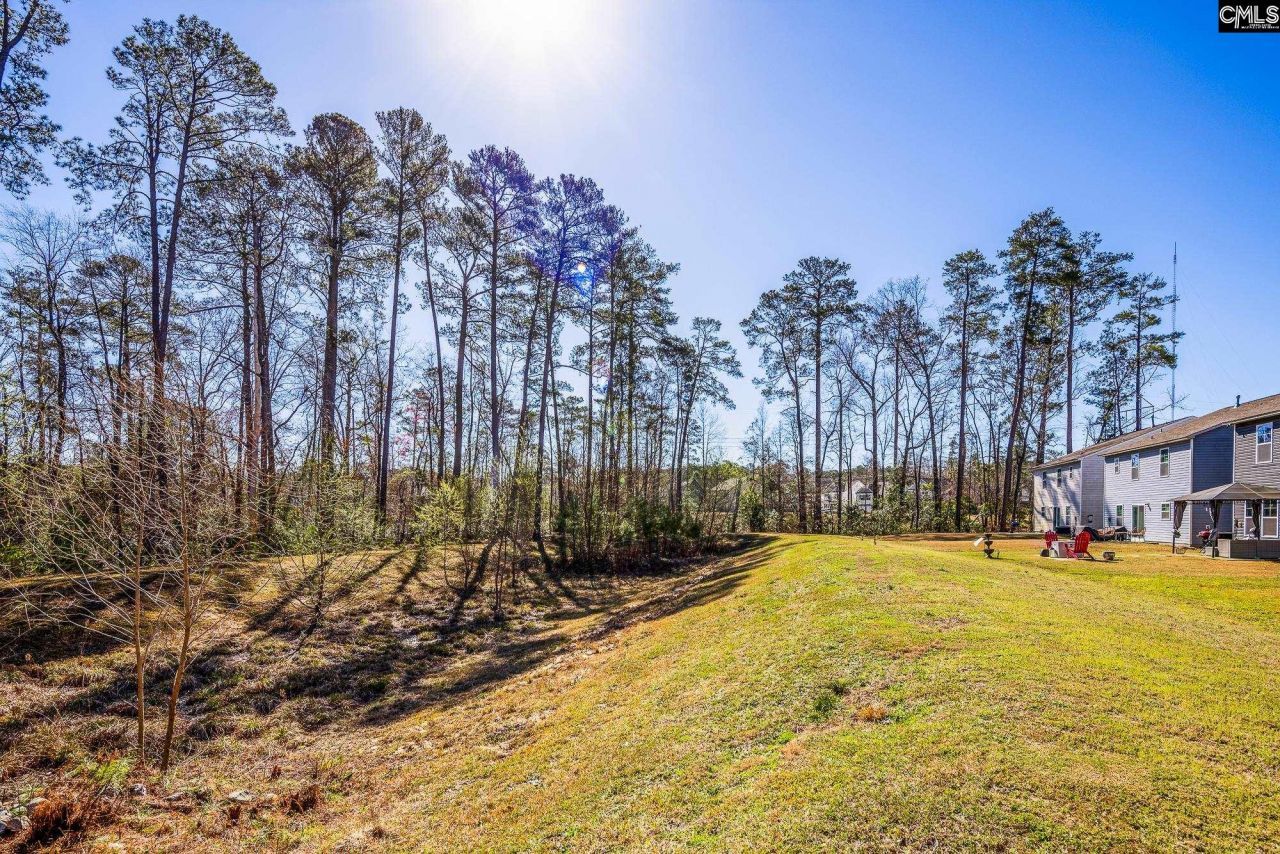 74 Apple Tree Court Photo 25