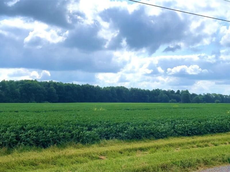 20478 Delaware County Line Road , Marysville, OH 43040 Photo 1