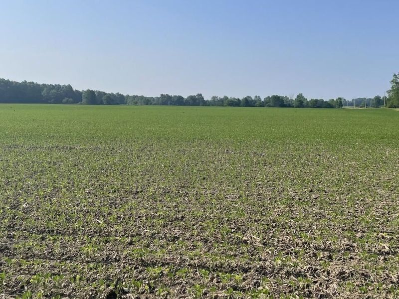 20478 Delaware County Line Road , Marysville, OH 43040 Photo 4