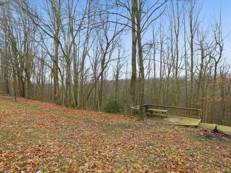 22385 Buena Vista Road, Rockbridge, OH 43149 Photo 46