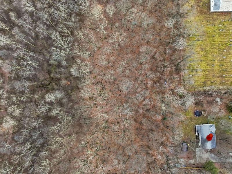 22385 Buena Vista Road, Rockbridge, OH 43149 Photo 55