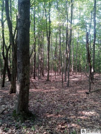 Chautauqua Rd, Portland, NY 14063 Main Photo