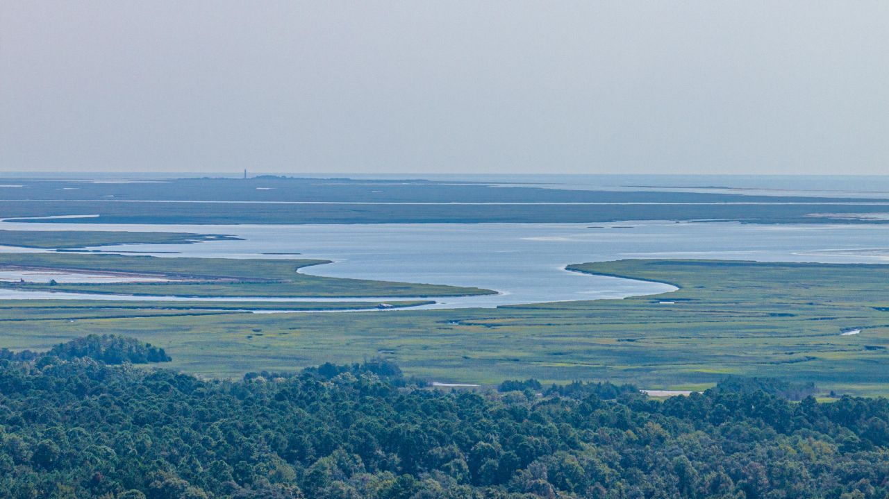 1089 Irving Manigault Road Photo 54