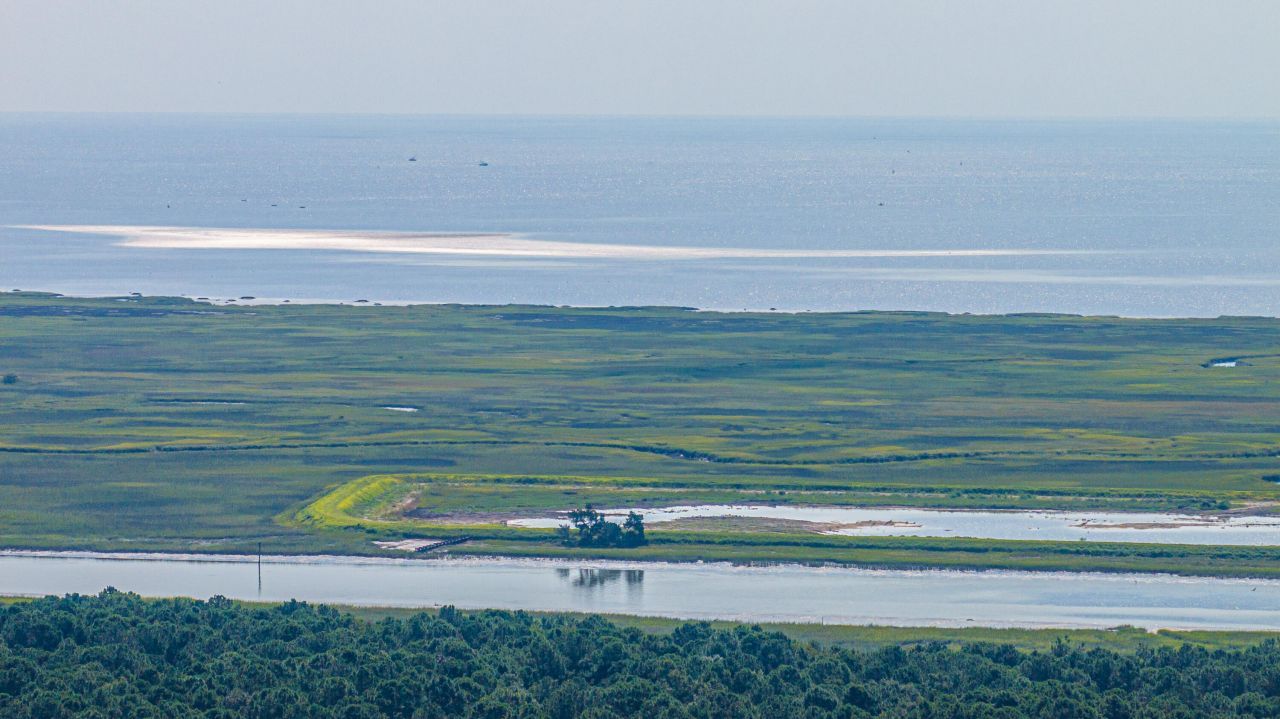 1089 Irving Manigault Road Photo 55