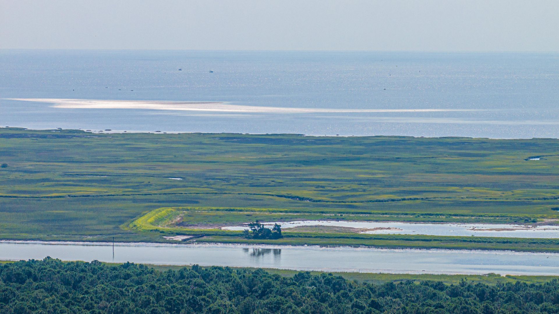 1089 Irving Manigault Road Photo 56