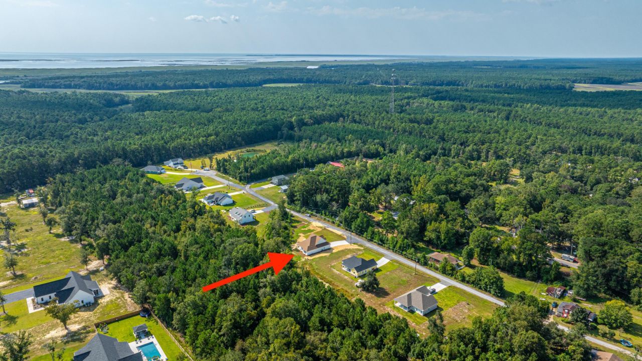 1089 Irving Manigault Road Photo 61