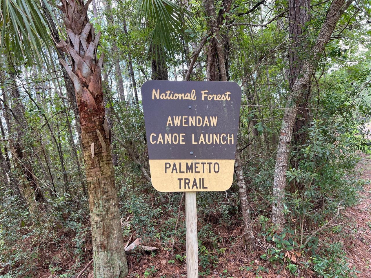 1089 Irving Manigault Road Photo 63