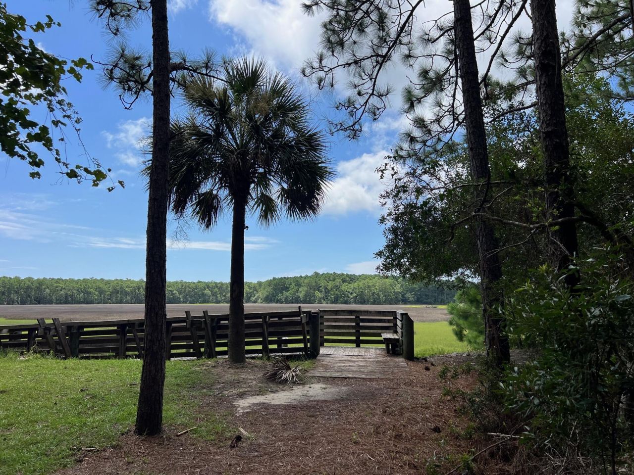 1089 Irving Manigault Road Photo 65