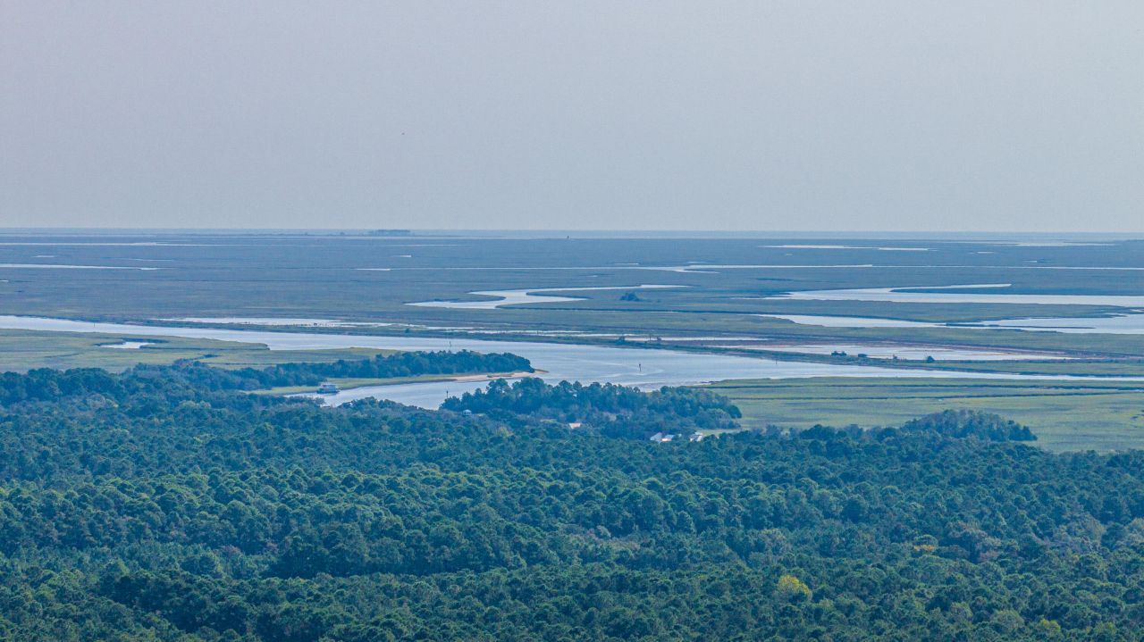 1089 Irving Manigault Road Photo 67