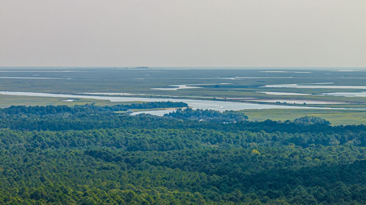 1089 Irving Manigault Road Photo 68