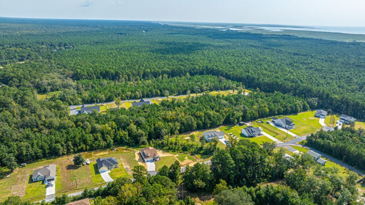 1089 Irving Manigault Road Photo 70