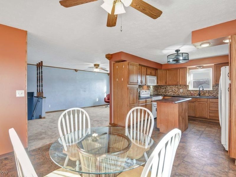 13830 Baumhart Road, Oberlin, OH 44074 Photo 14