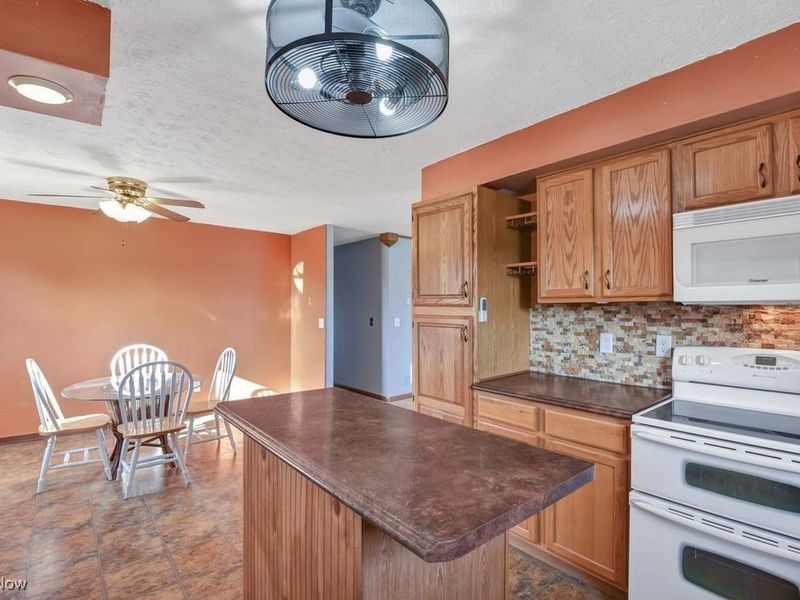 13830 Baumhart Road, Oberlin, OH 44074 Photo 19