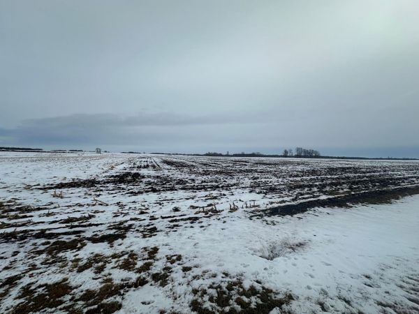 TBD County 36 , Long Prairie, MN 56347