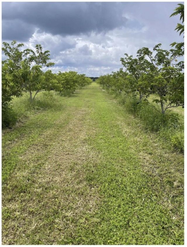 149xx SW 149xx 224 Street, Miami, FL 33170 Photo