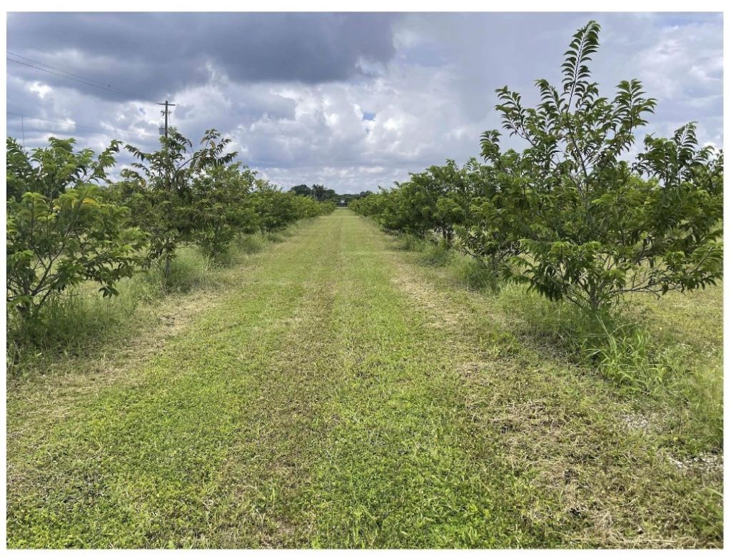 149xx SW 149xx 224 Street, Miami, FL 33170 Photo