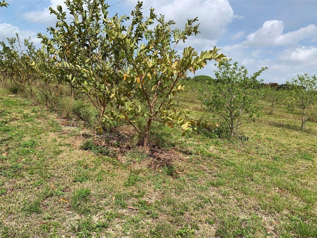 149xx SW 149xx 224 Street, Miami, FL 33170 Photo