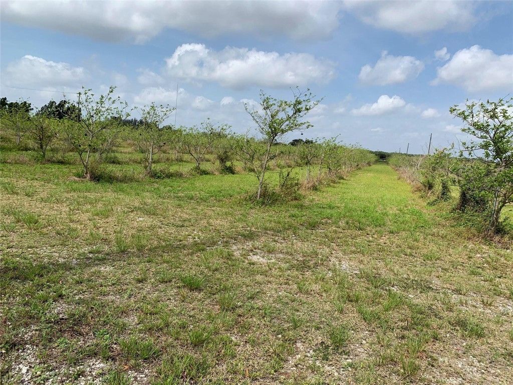 149xx SW 149xx 224 Street, Miami, FL 33170 Photo