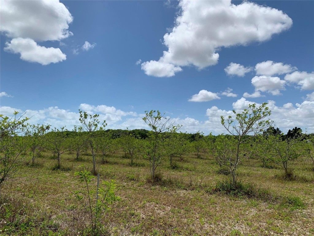 149xx SW 149xx 224 Street, Miami, FL 33170 Photo