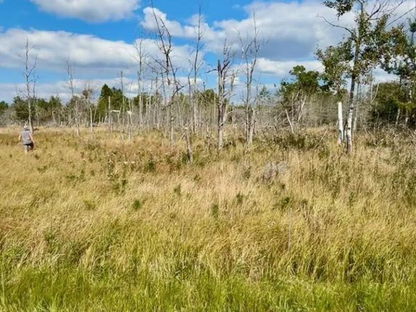 Lot 17, W Fairway Street, Onekama, MI 49675
