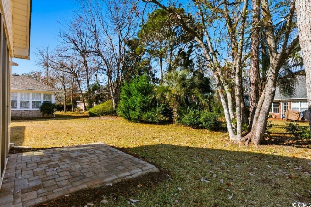 1005 Sand Dollar Ct. Photo 26