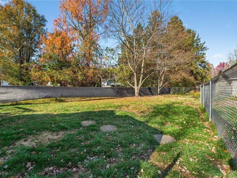 304 Elm Street, Amherst, OH 44001 Photo 40