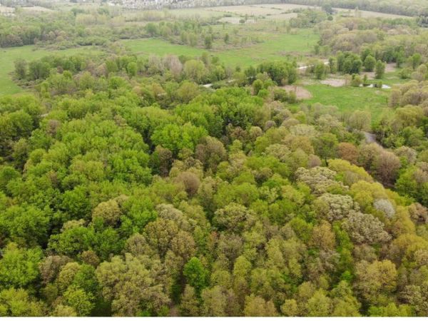 1192 Stags Leap Lane, Ann Arbor, MI 48103