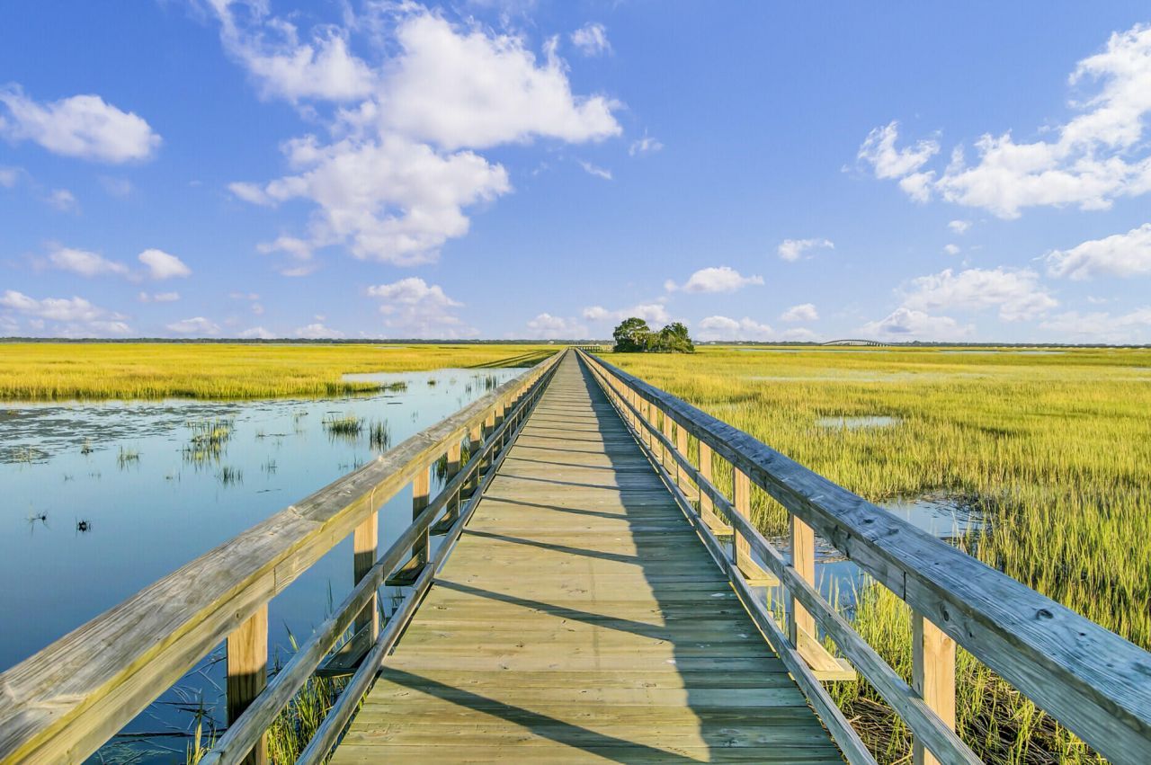 1543 Prince Edward Street Photo 89