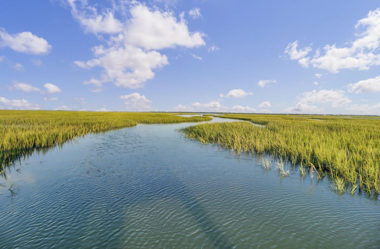 1543 Prince Edward Street Photo 93