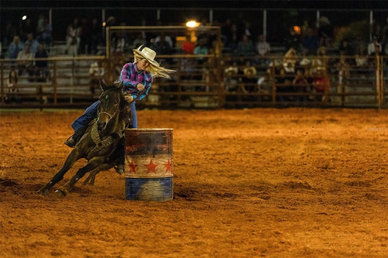 281 Foal Drive, River Ranch, FL 33867 Photo