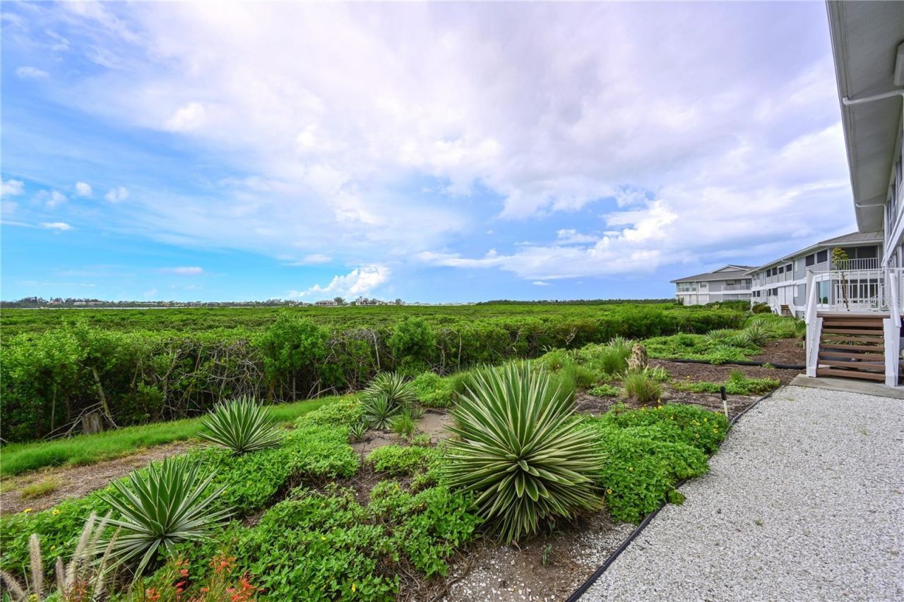 1319 Perico Point Circle, Bradenton, FL 34209 Photo