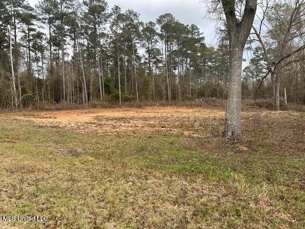 1028 Chester Reeves Road, McComb, MS 39648