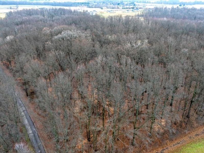 4455 Green Cook Road, Westerville, OH 43082 Photo 10