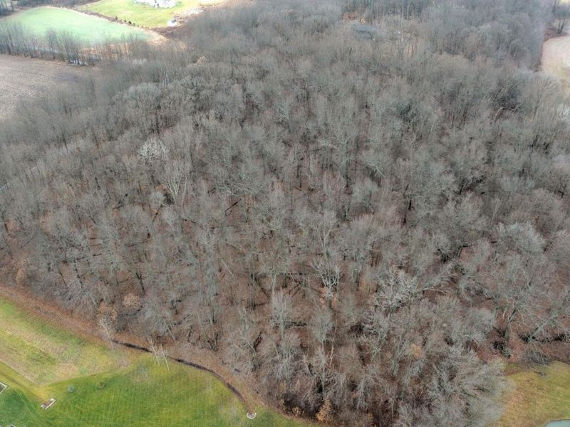 4455 Green Cook Road, Westerville, OH 43082 Photo 12