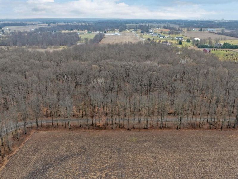 4455 Green Cook Road, Westerville, OH 43082 Photo 15