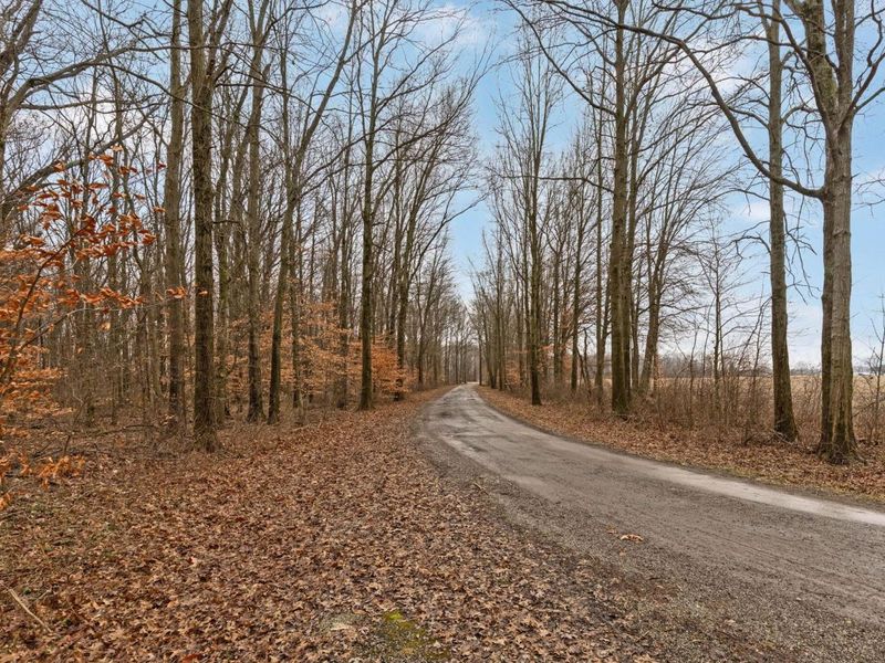 4455 Green Cook Road, Westerville, OH 43082 Photo 5