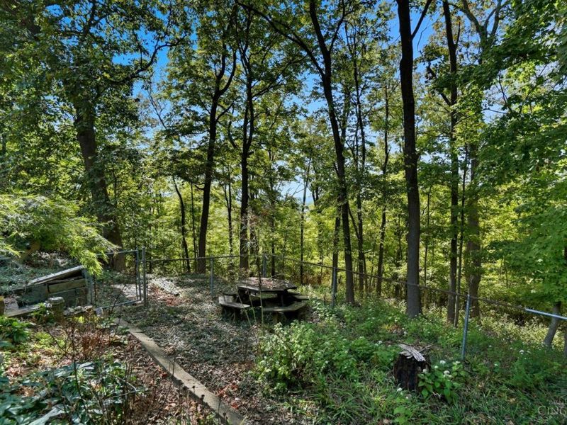 5800 Cherokee Drive, Madeira, OH 45243 Photo 39