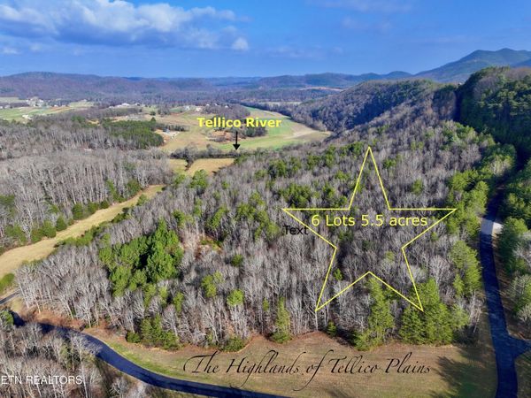 Forest View, Tellico Plains, TN 37385