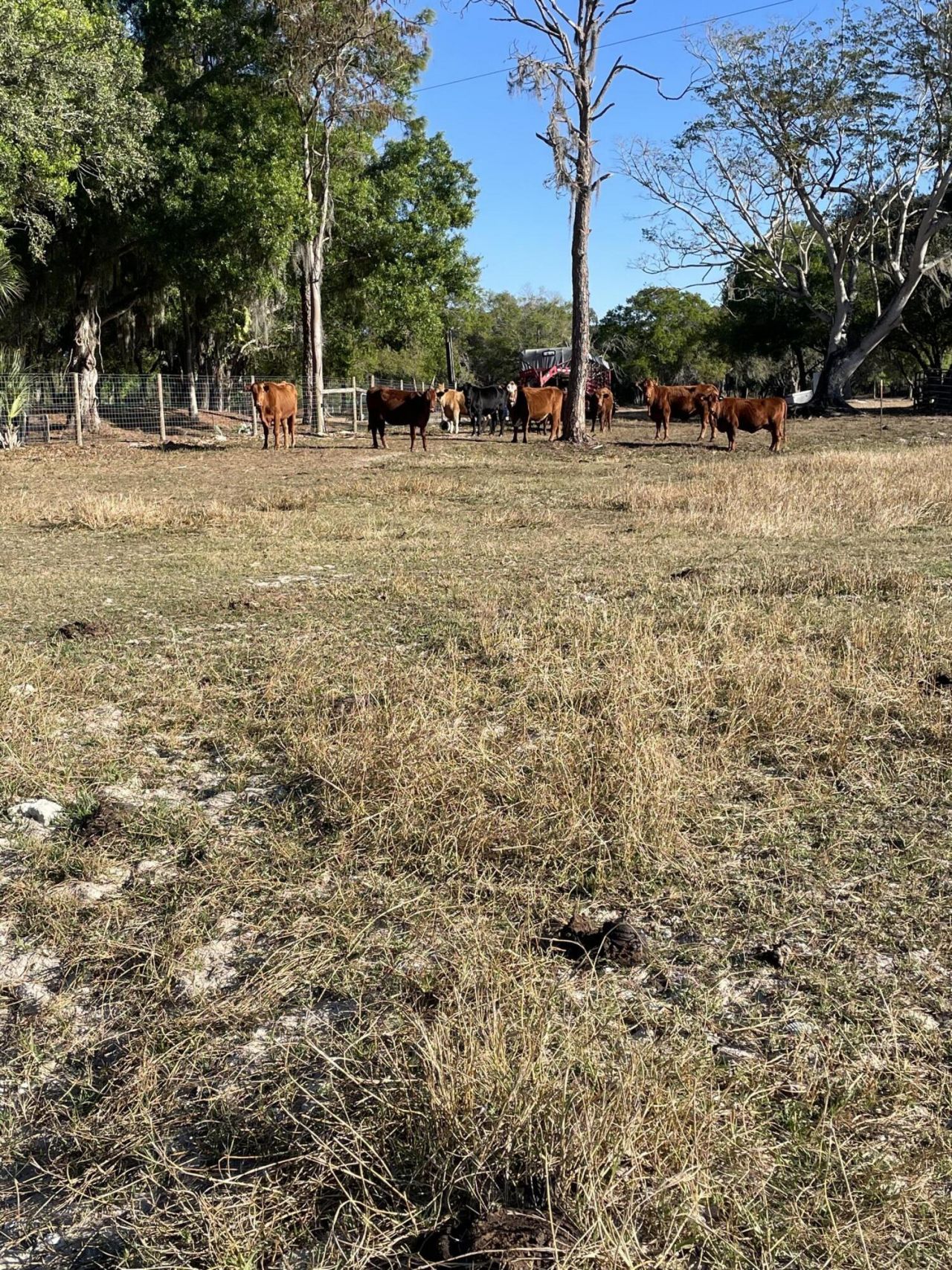 1220 A Road, Labelle, FL 33935 Photo