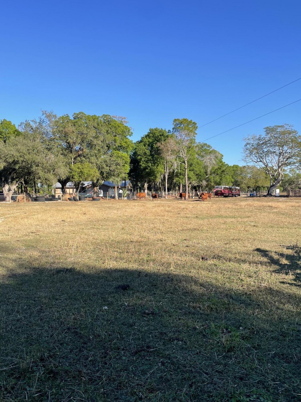 1220 A Road, Labelle, FL 33935 Photo