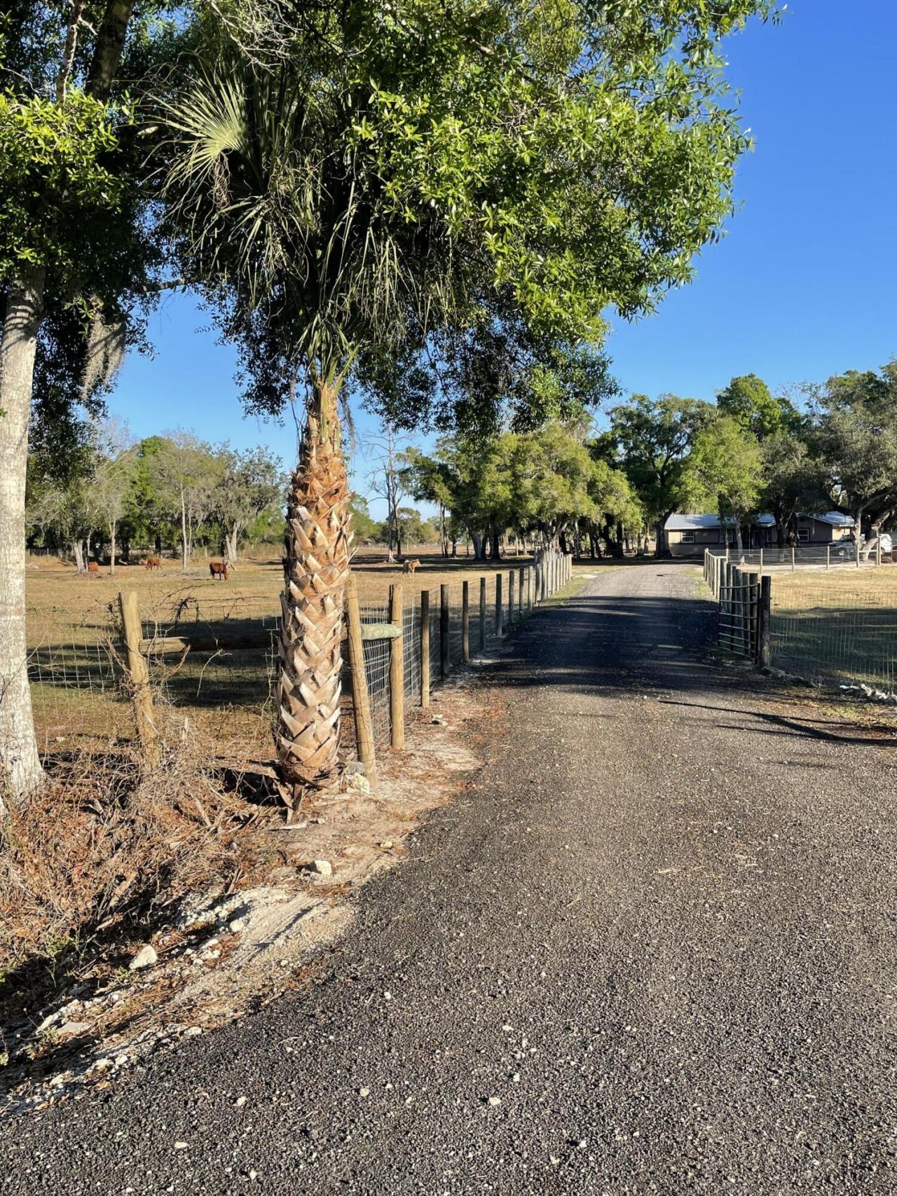 1220 A Road, Labelle, FL 33935 Photo