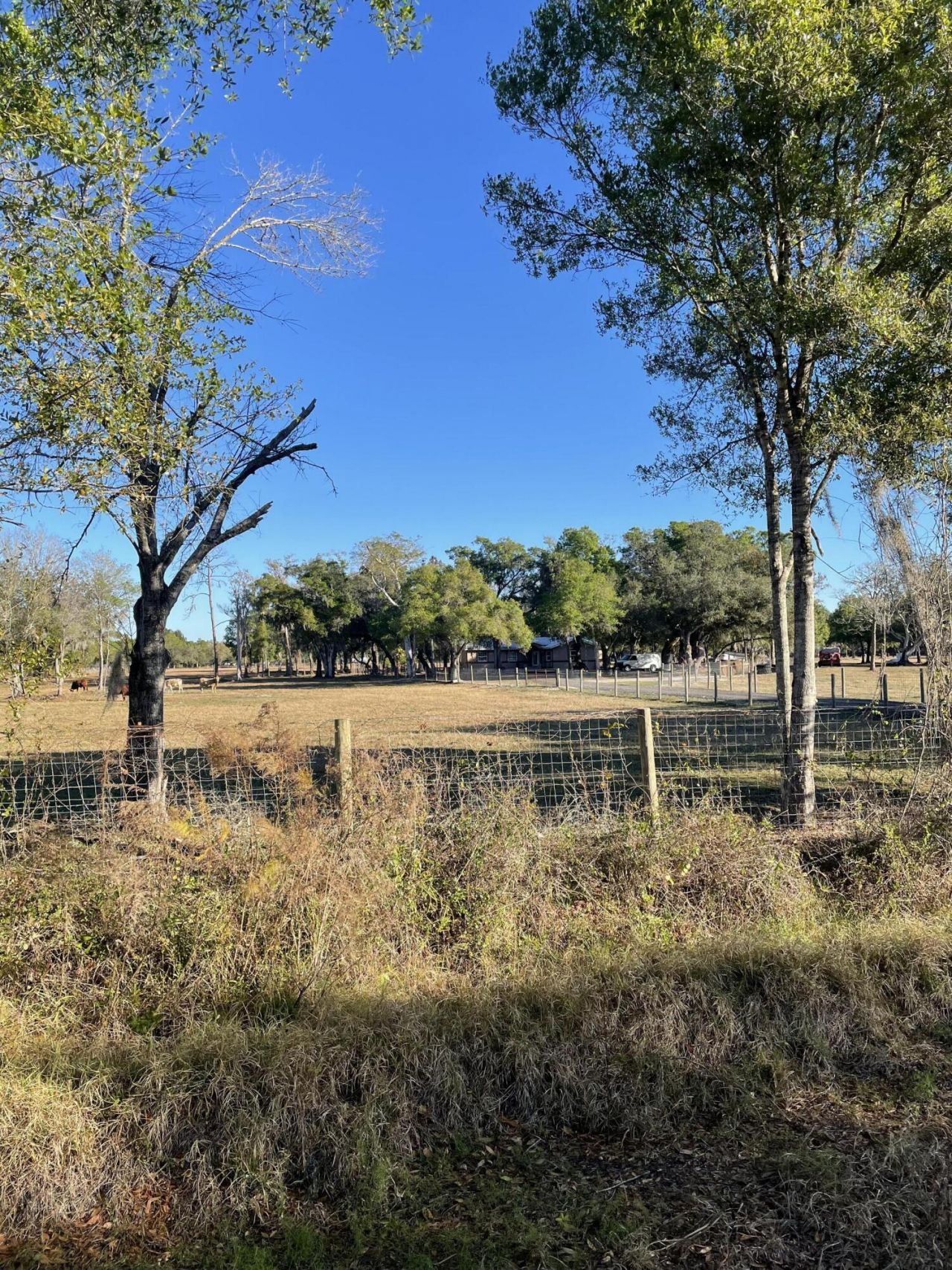 1220 A Road, Labelle, FL 33935 Photo