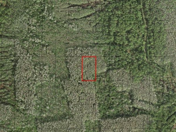 0 HOLOPAW GROVES RD, St. Cloud, FL 34772