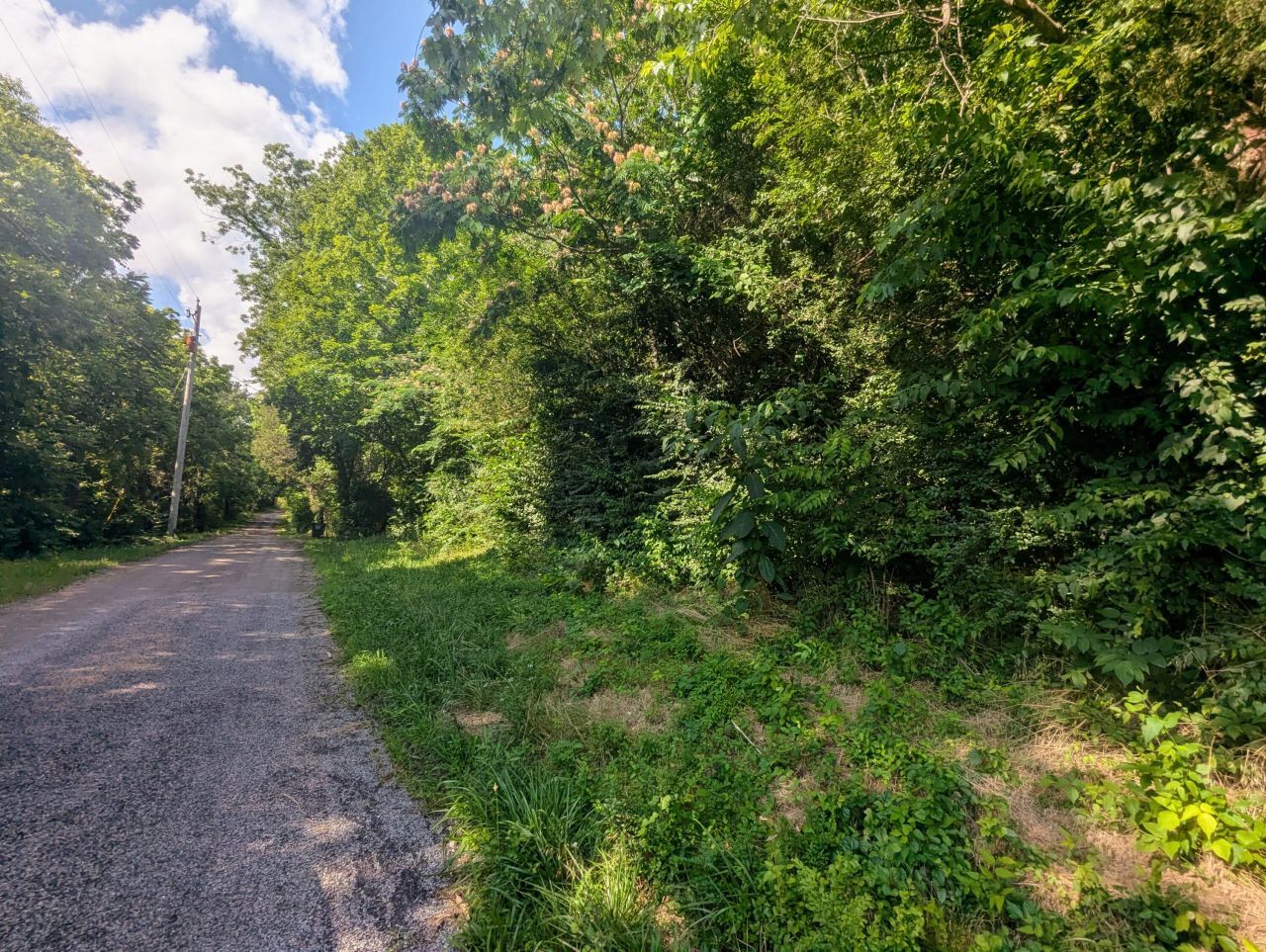 0 County Road 493, Etowah, TN 37331 Main Photo