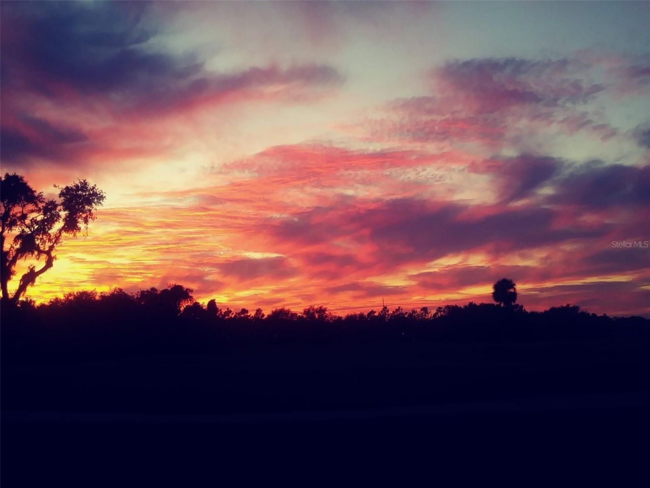 774 Planters Manor Way, Bradenton, FL 34212 Photo