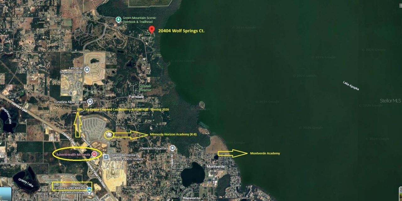 20404 Wolf Springs Court, Clermont, FL 34715 Photo