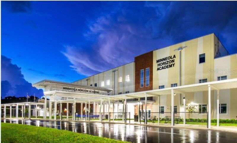 20404 Wolf Springs Court, Clermont, FL 34715 Photo