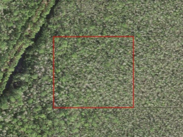 0 HOLOPAW GROVES RD, St. Cloud, FL 34772