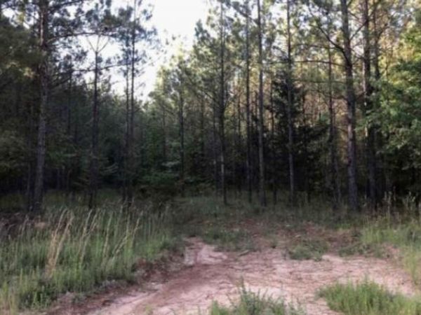 00 Lower Mill Road, Crawfordville, GA 30631